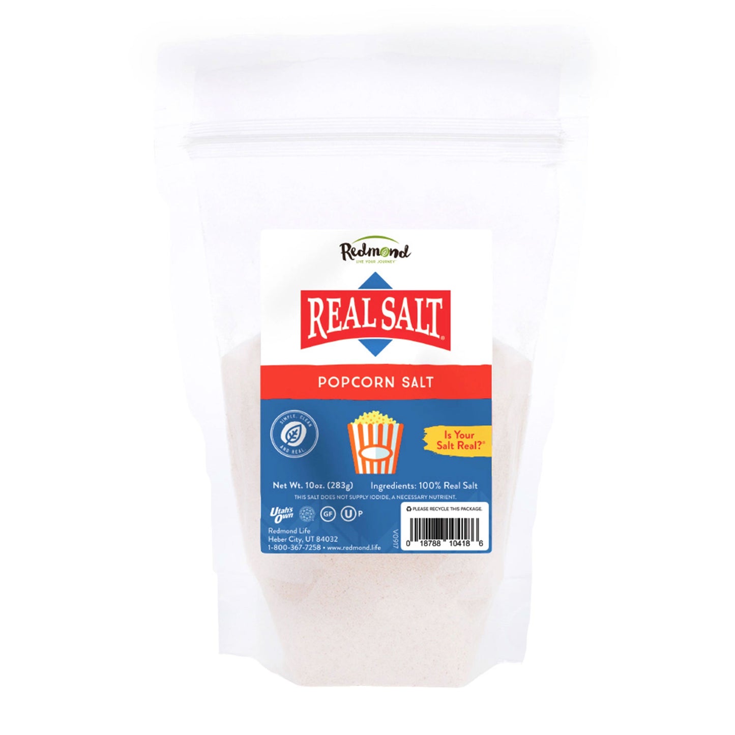 Real Salt Powder Popcorn Salt 10oz/284g